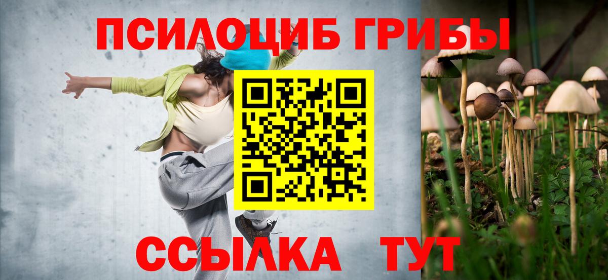 Торжок  Галлюциногенные грибы прущие грибы  Галлюциногенные грибы Psilocybe  Вход с VPN 